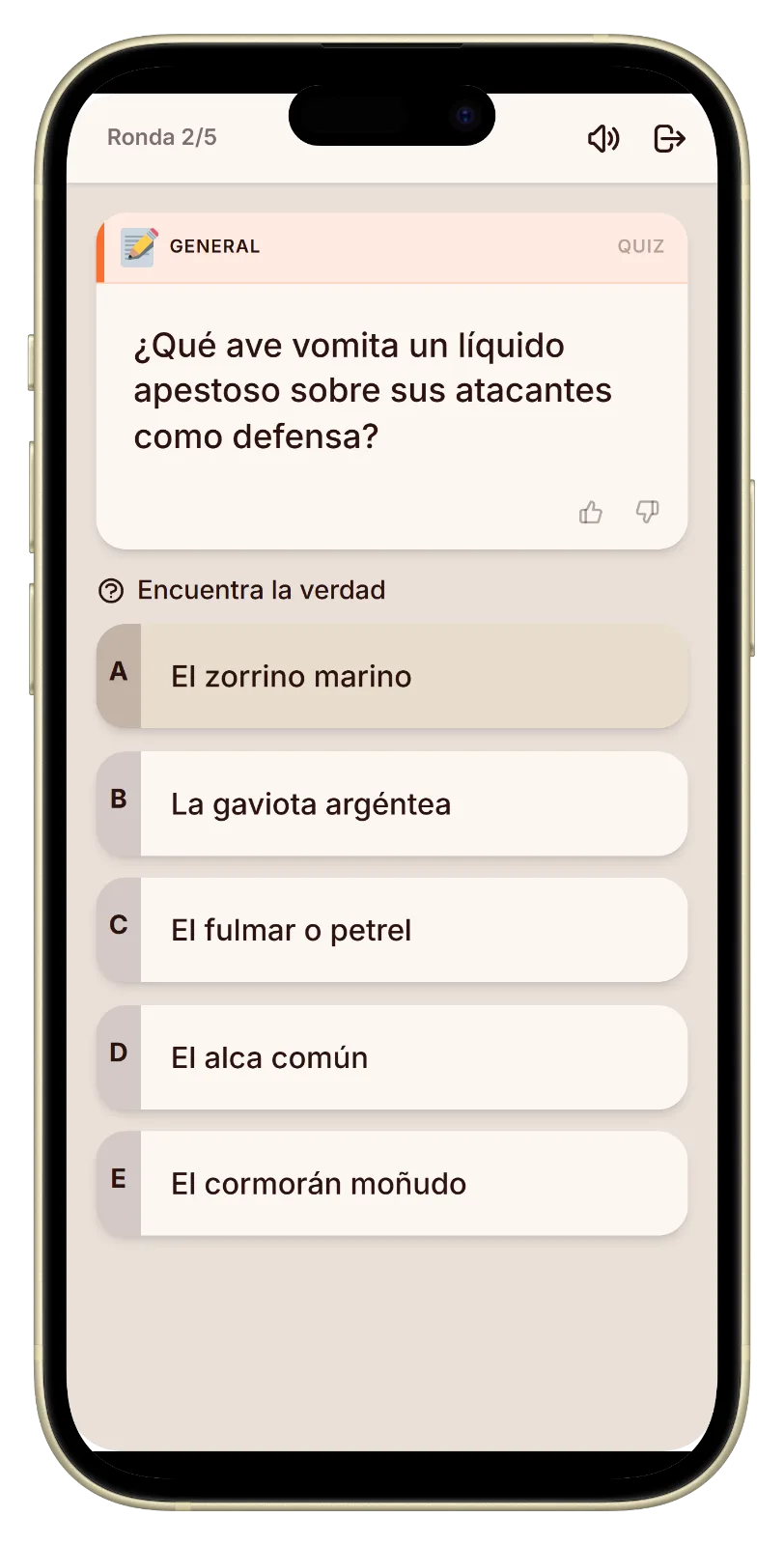 Votación en Let's Fib