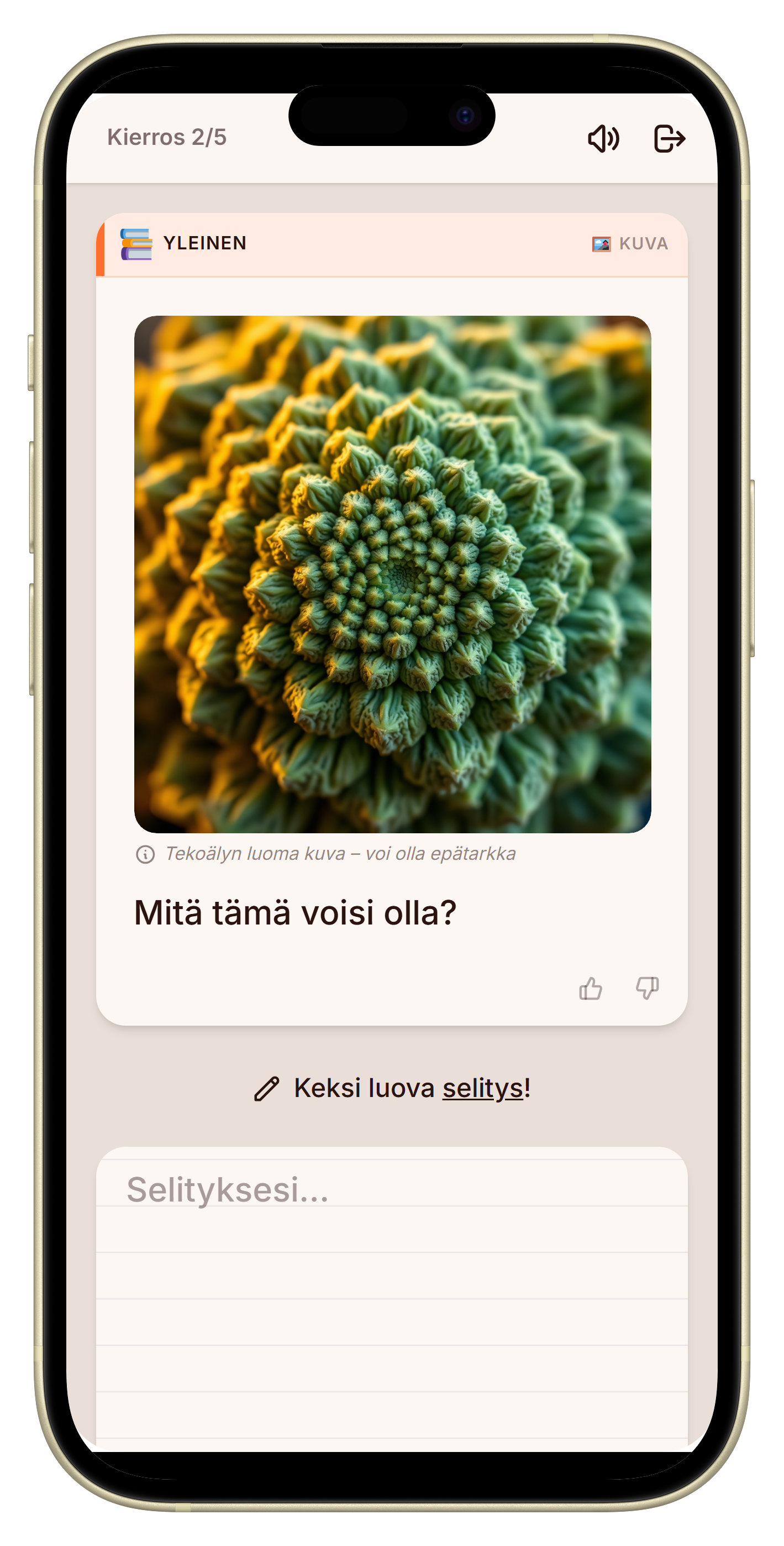 Let's Fib kuvakierros