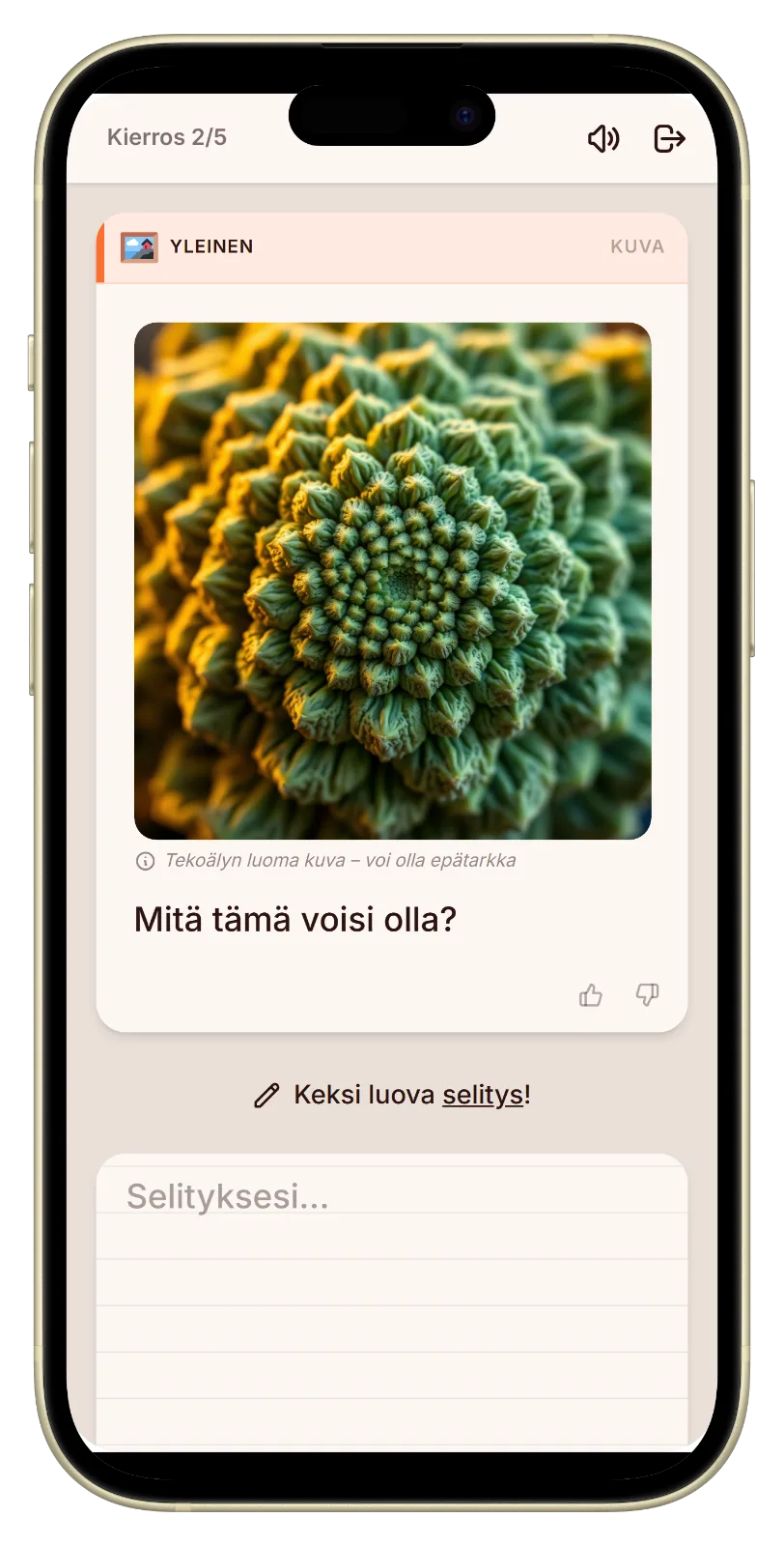 Let's Fib kuvakierros soluasunnon peli-illassa