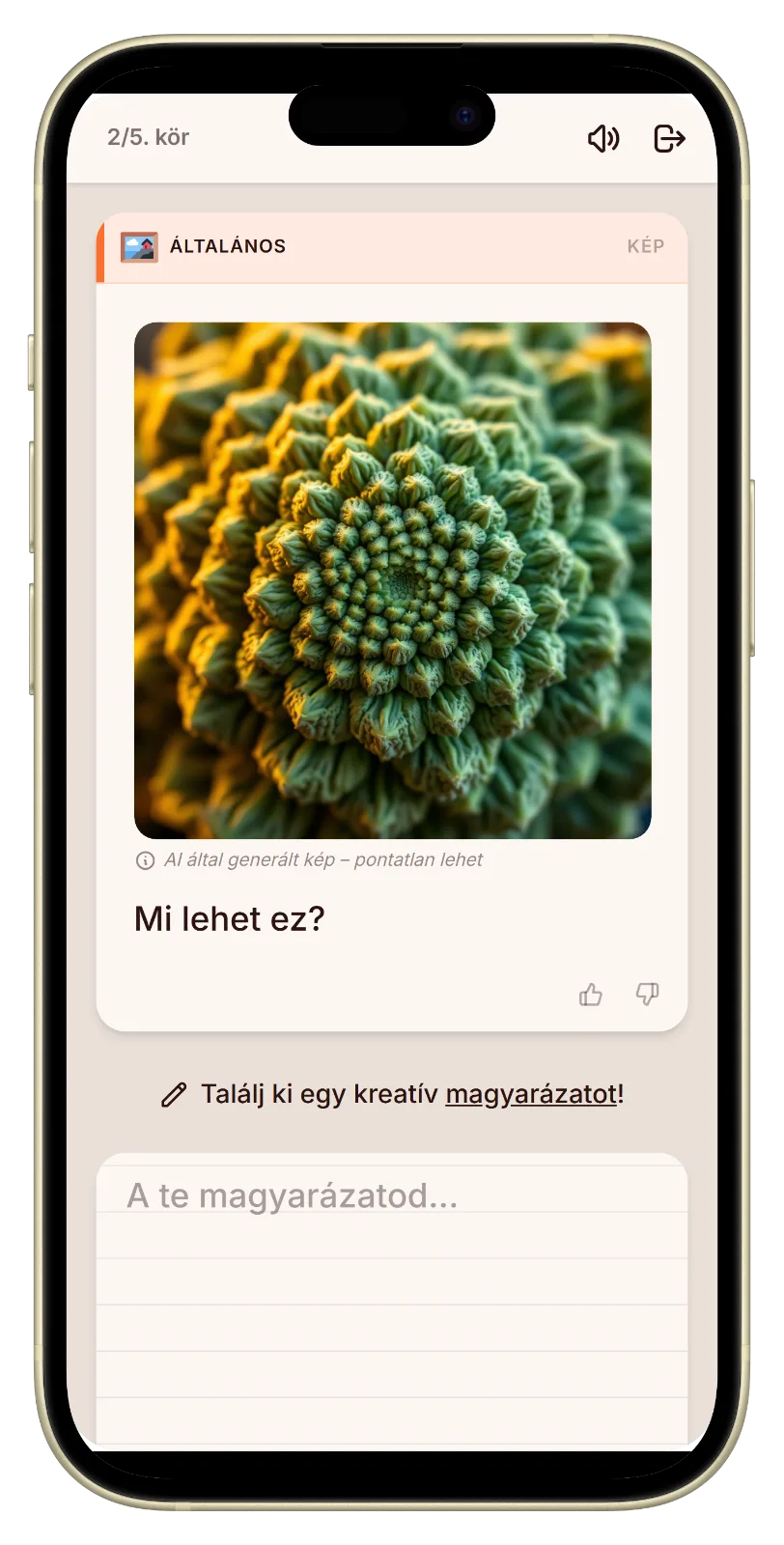 Let's Fib képes kérdés válasza