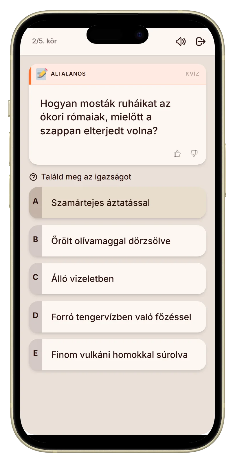 Let's Fib szavazás