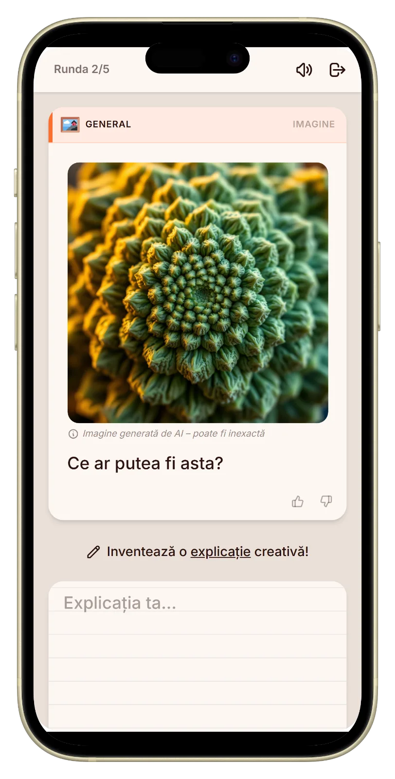 Let's Fib rundă cu imagini la o petrecere acasă