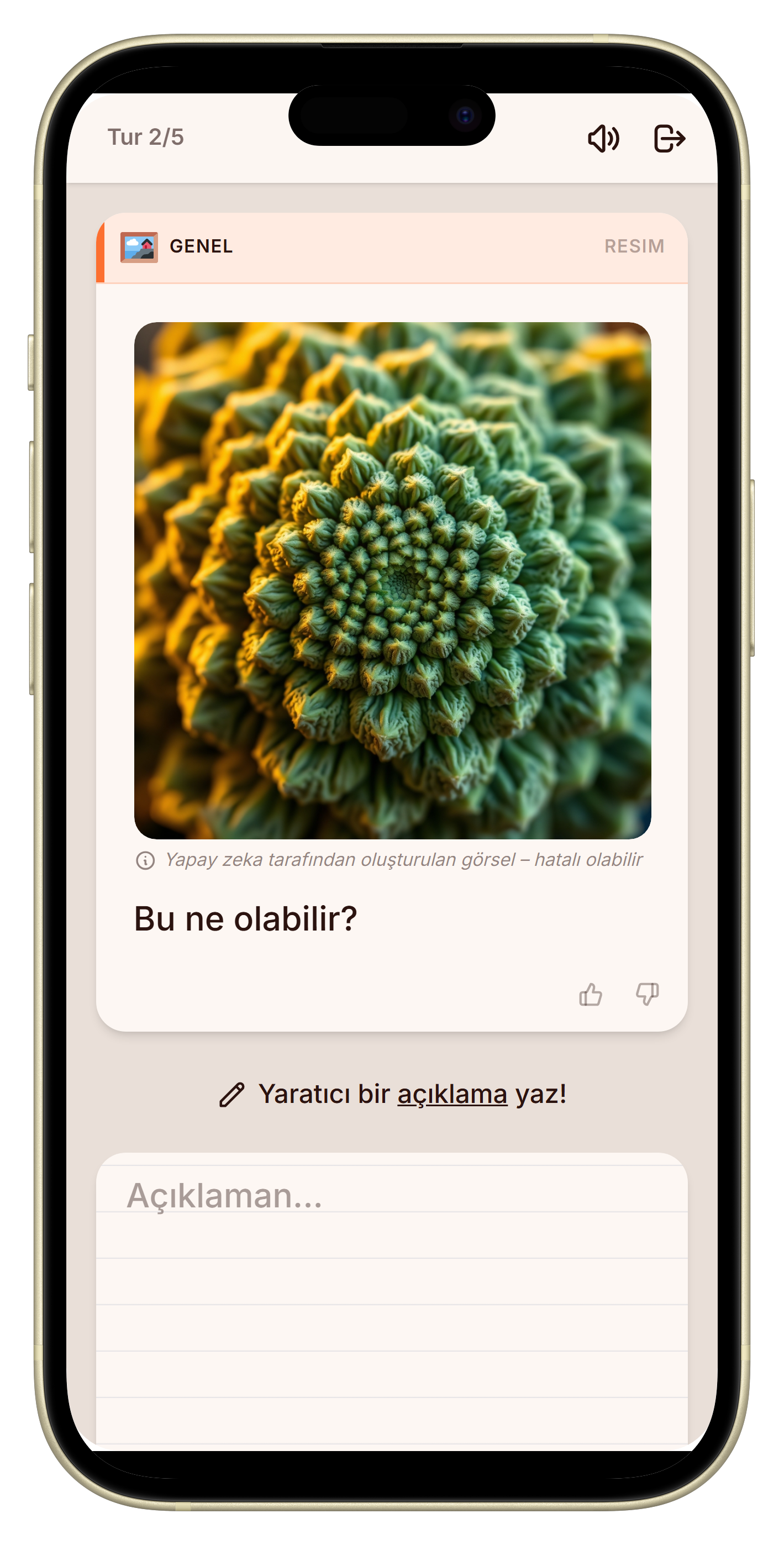 Let's Fib Resim Cevabı