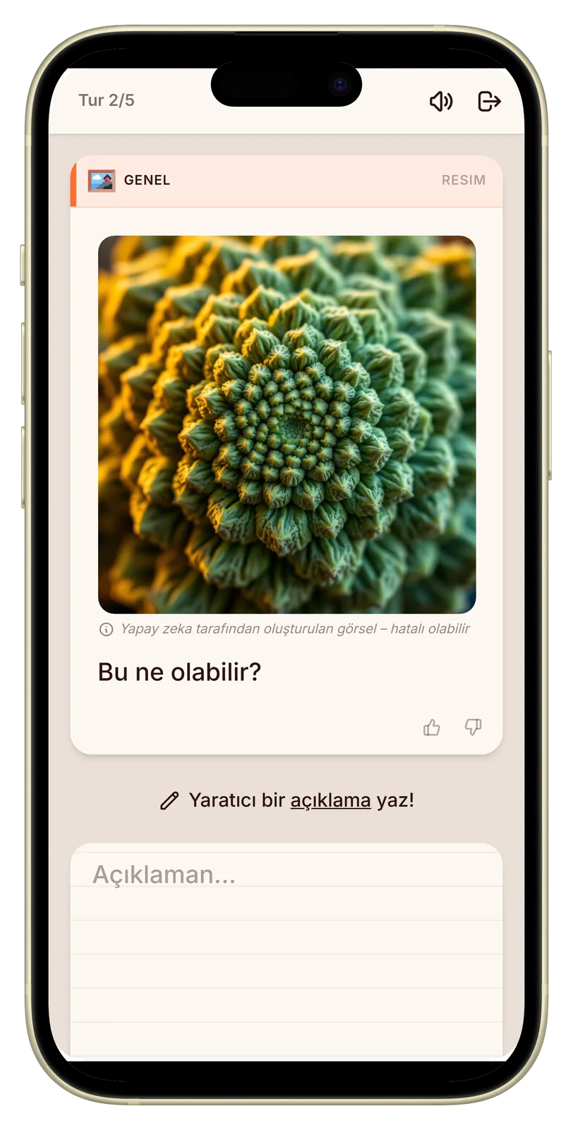 Let's Fib Resim Cevabı