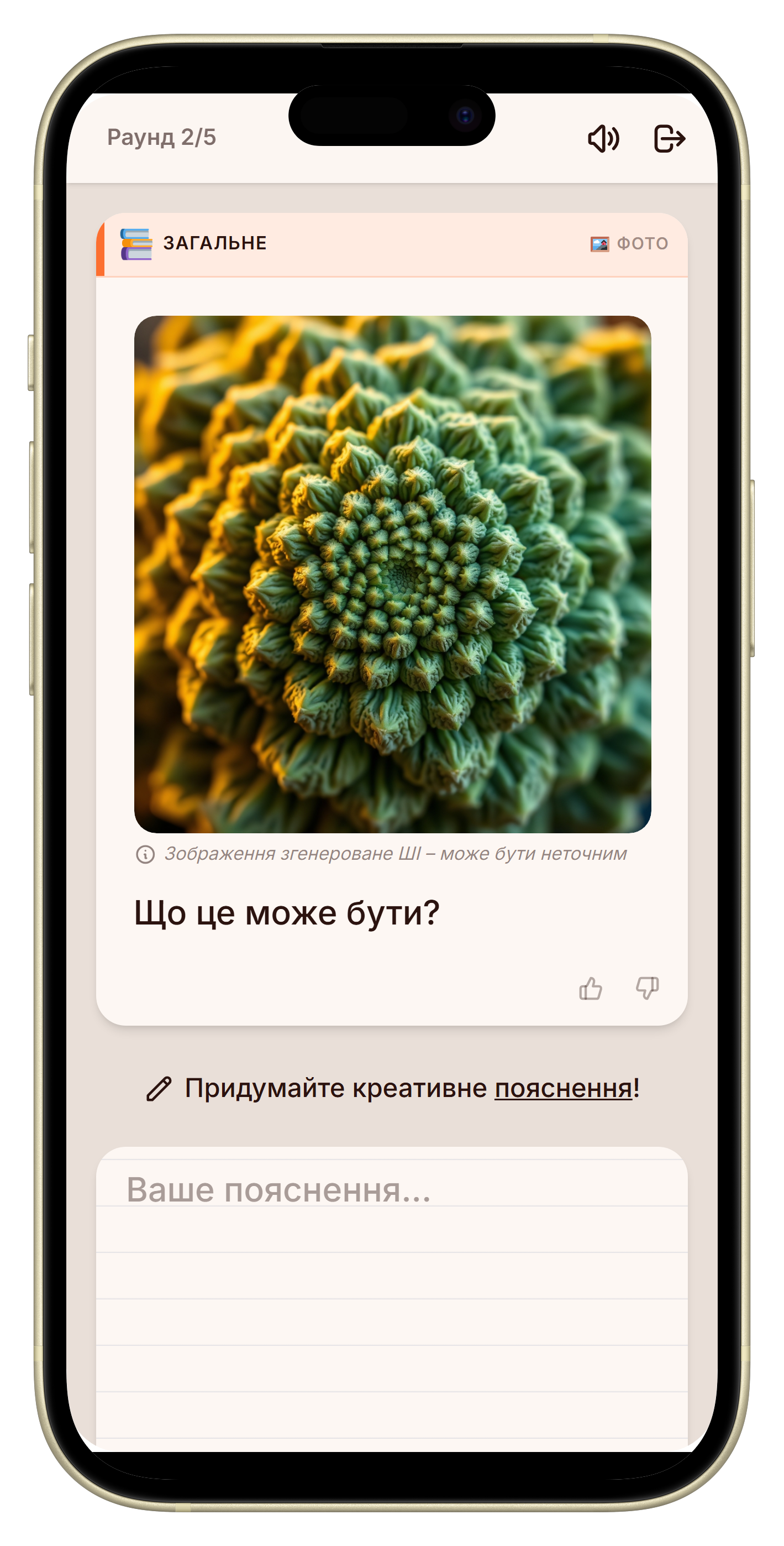 Let's Fib фотораунд